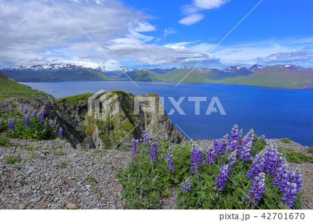 アラスカ・アリューシャン列島・ウラナスカ島の風景 アラスカ・アリューシャン列島・ウラナスカ島の風景 42701670