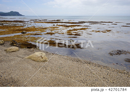 青森の旅夏泊半島 青森の旅夏泊半島 42701784