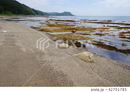 青森の旅夏泊半島 青森の旅夏泊半島 42701785