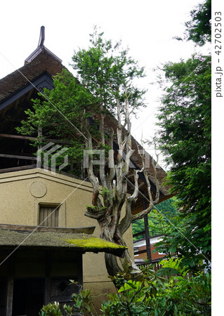 国重要文化財（旧中村家住宅） 42702503