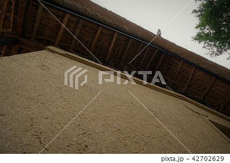 国重要文化財(旧中村家土蔵) 国重要文化財(旧中村家土蔵) 42702629