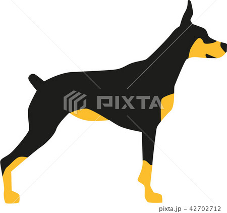 dog_doberman_pic_2c.epsのイラスト素材 [42702712] - PIXTA