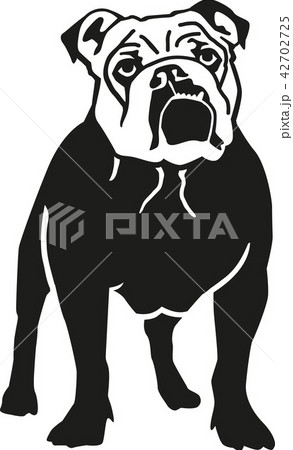 dog_english_bulldog_real_details.eps 42702725
