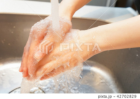 ガスコンロ 42702829