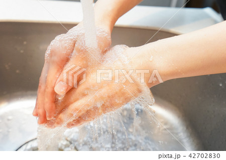 ガスコンロ 42702830