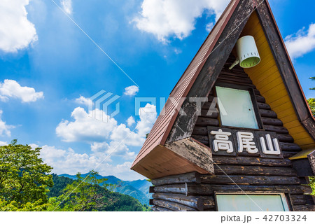高尾山の大自然 高尾山の大自然 42703324
