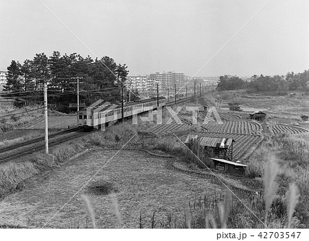 懐かしい阪和線の電車 42703547