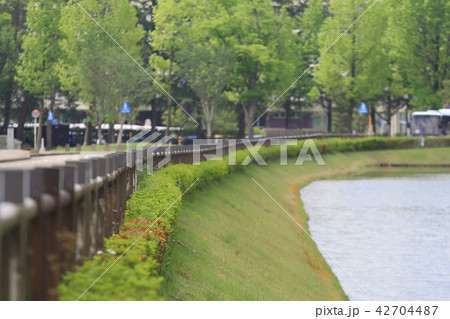 新緑の公園 42704487