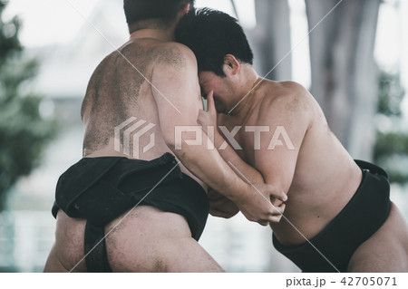Sumo wrestling 42705071
