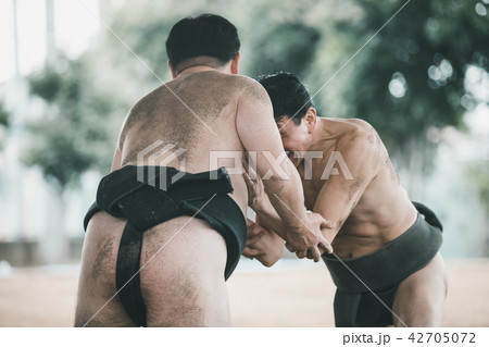Sumo wrestling 42705072