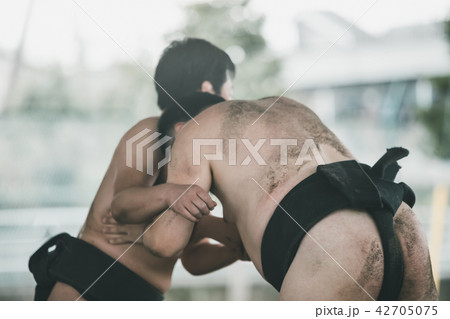 Sumo wrestling 42705075