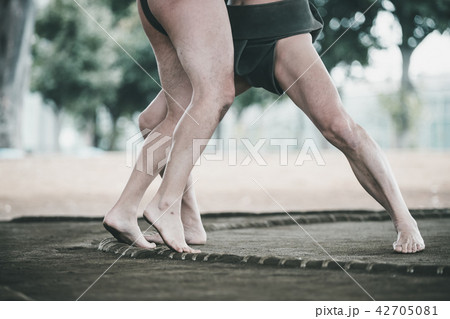 Sumo wrestling Sumo wrestling 42705081