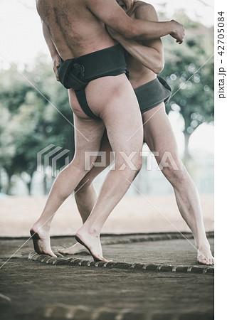 Sumo wrestling Sumo wrestling 42705084