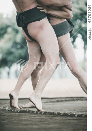 Sumo wrestling 42705086