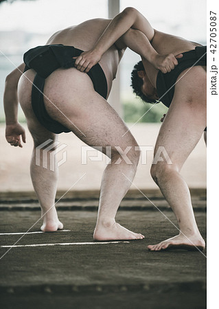 Sumo wrestling 42705087