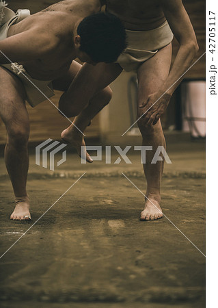 Sumo wrestling Sumo wrestling 42705117