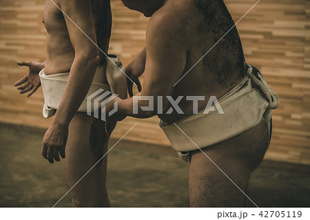 Sumo wrestling Sumo wrestling 42705119