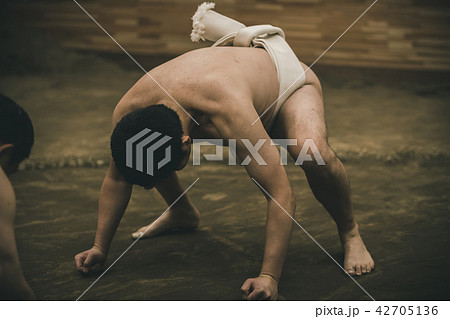 Sumo wrestling 42705136