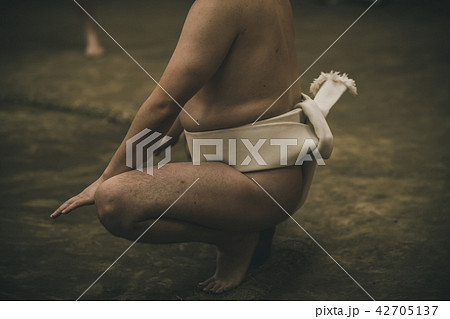 Sumo wrestling 42705137