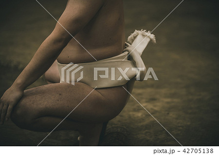Sumo wrestling 42705138