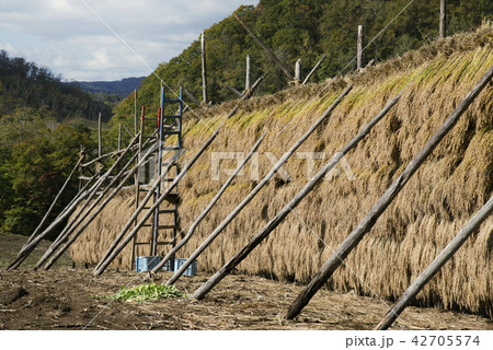 はさがけ　豊浦町 42705574