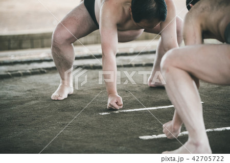 Sumo wrestling Sumo wrestling 42705722
