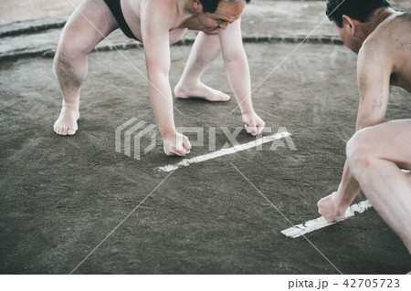 Sumo wrestling Sumo wrestling 42705723