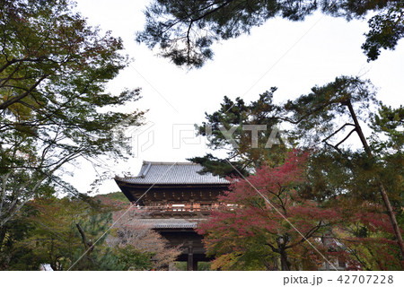 くろ谷　金戒光明寺　山門 42707228