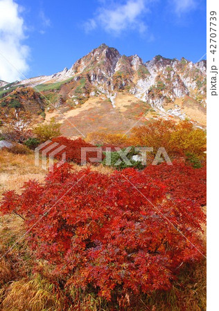 晴天の中央アルプス駒ケ岳千畳敷の美しい紅葉と山岳の絶景 42707739