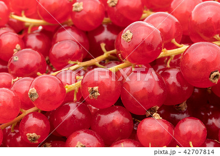レッドカラント（赤スグリ）: redcurrant 42707814