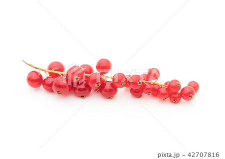 レッドカラント（赤スグリ）: redcurrant 42707816