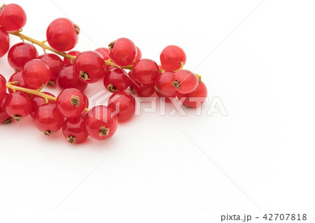 レッドカラント（赤スグリ）: redcurrant 42707818
