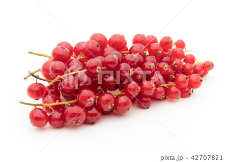 レッドカラント（赤スグリ）: redcurrant 42707821