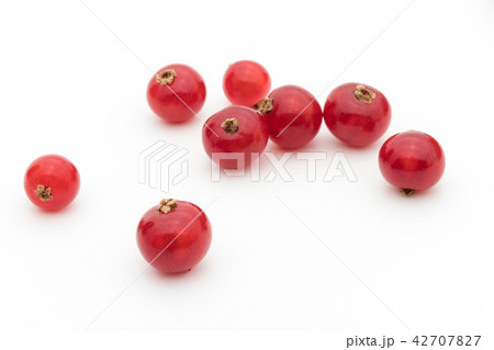 レッドカラント(赤スグリ): redcurrant レッドカラント(赤スグリ): redcurrant 42707827