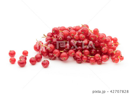 レッドカラント（赤スグリ）: redcurrant 42707828