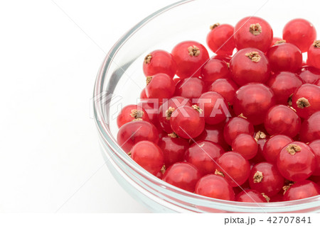レッドカラント（赤スグリ）: redcurrant 42707841