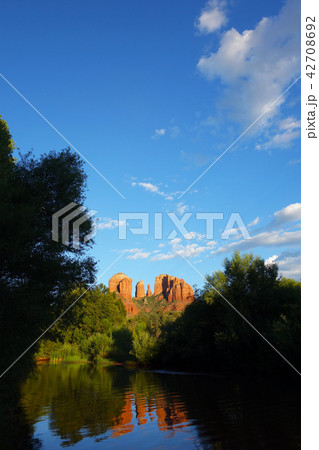 Cathedral Rock セドナ Cathedral Rock セドナ 42708692