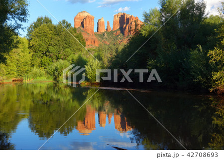 Cathedral Rock　セドナ 42708693