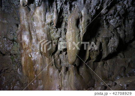 日本一長い鍾乳洞安家洞 日本一長い鍾乳洞安家洞 42708929