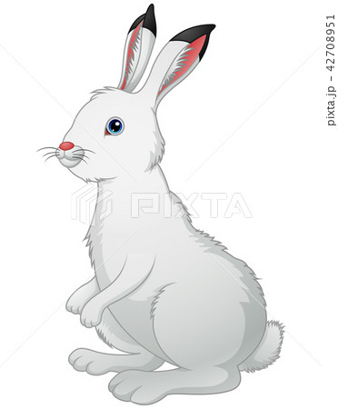 Cute white rabbit on a white background 42708951