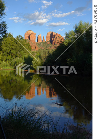 Cathedral Rock セドナ Cathedral Rock セドナ 42709050