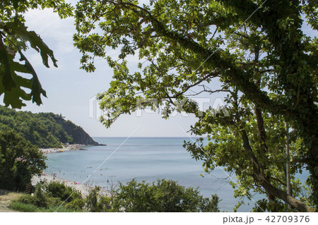 Inal bay, Black sea beach, Krasnodarsky kray 42709376
