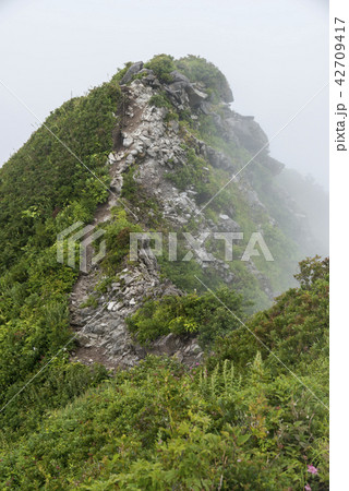 ユートピアコース 三鈷峰（大山） 42709417