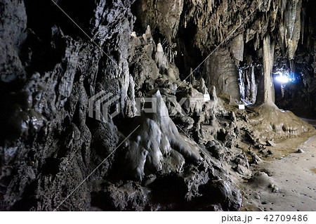 日本一長い鍾乳洞安家洞 日本一長い鍾乳洞安家洞 42709486