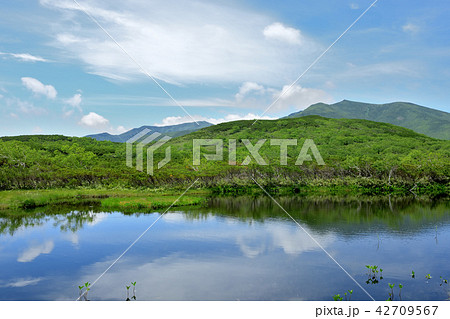 知床　秘境　羅臼湖、知西別岳を望む 42709567