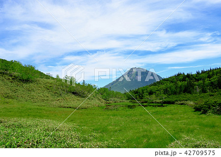 知床　秘境　羅臼湖、二の沼・三の沼より羅臼岳を望む 42709575