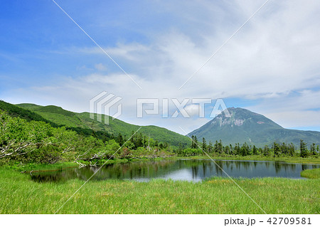 知床　秘境　羅臼湖、二の沼・三の沼より羅臼岳を望む 42709581
