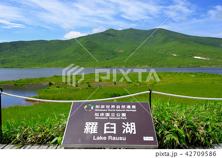 知床　秘境　羅臼湖、知西別岳を望む 42709586