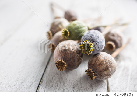 Poppy heads freely lying on a wooden board. 42709805