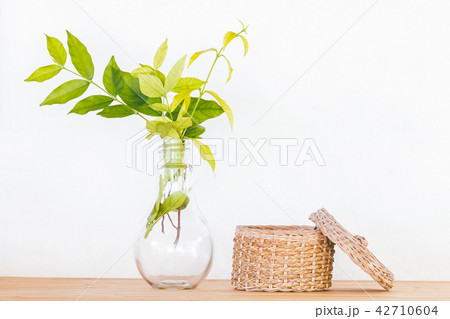 Still life with green leaves in the glass bottles 42710604
